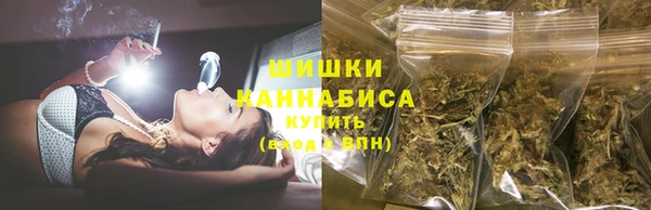 дурь Карпинск