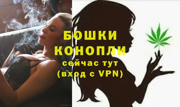 метадон Елизово