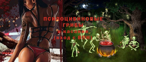 метадон Елизово