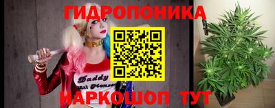 стаф Волжский