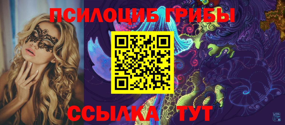 продажа наркотиков  Псилоцибиновые грибы прущие грибы  Вход с VPN  Елабуга  Псилоцибиновые грибы Cubensis 