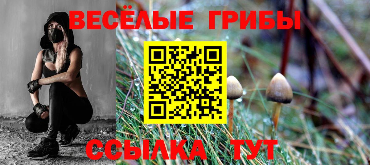Галлюциногенные грибы MAGIC MUSHROOMS Елабуга