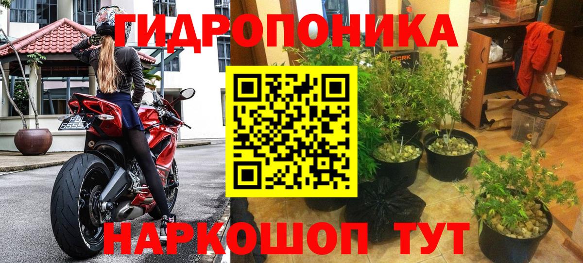Бошки Шишки THC 21% Елабуга